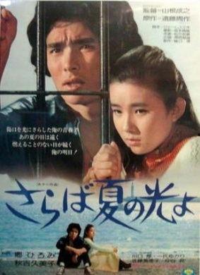 再见，夏日之光,告别与希望交织的青春记忆