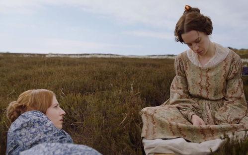 隐于书后,隐于书后的历史与智慧