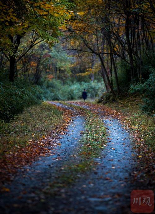 月染青川,探寻千年古镇的韵味与传奇